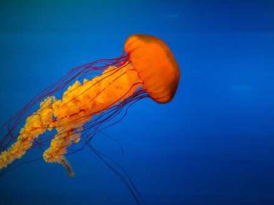 Lit Hub Daily: August 4, 2025